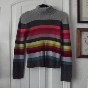 The Limited Multicolor Striped Turtleneck Sweater
